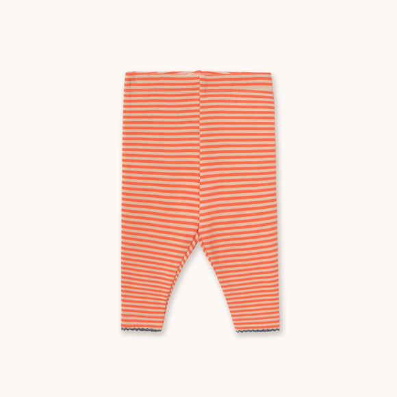 Striped baby leggings on a white background