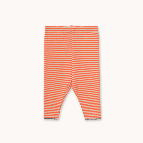 Striped baby leggings on a white background