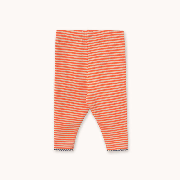 Striped baby leggings on a white background