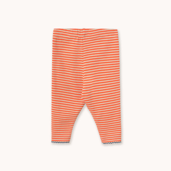 Striped baby leggings on a white background