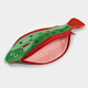 A novelty zippered pouch shaped like a flatfish, featuring a green top half with dark green spots, a red border, and a pink bottom half, shown on a light gray background.