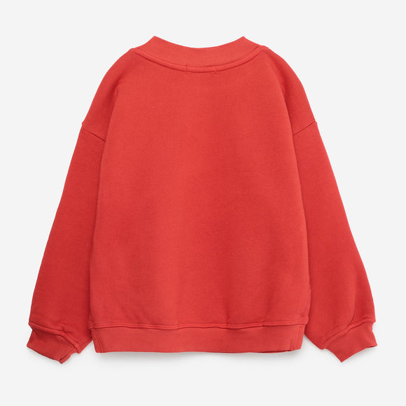 Red sweatshirt on a white background